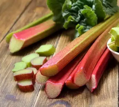 الروديبين (جمال الطبيعة الفاخر)